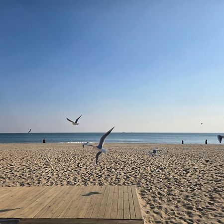 Hera Haeundae Beach Premium Ocean View # Sea View Busan Buitenkant foto
