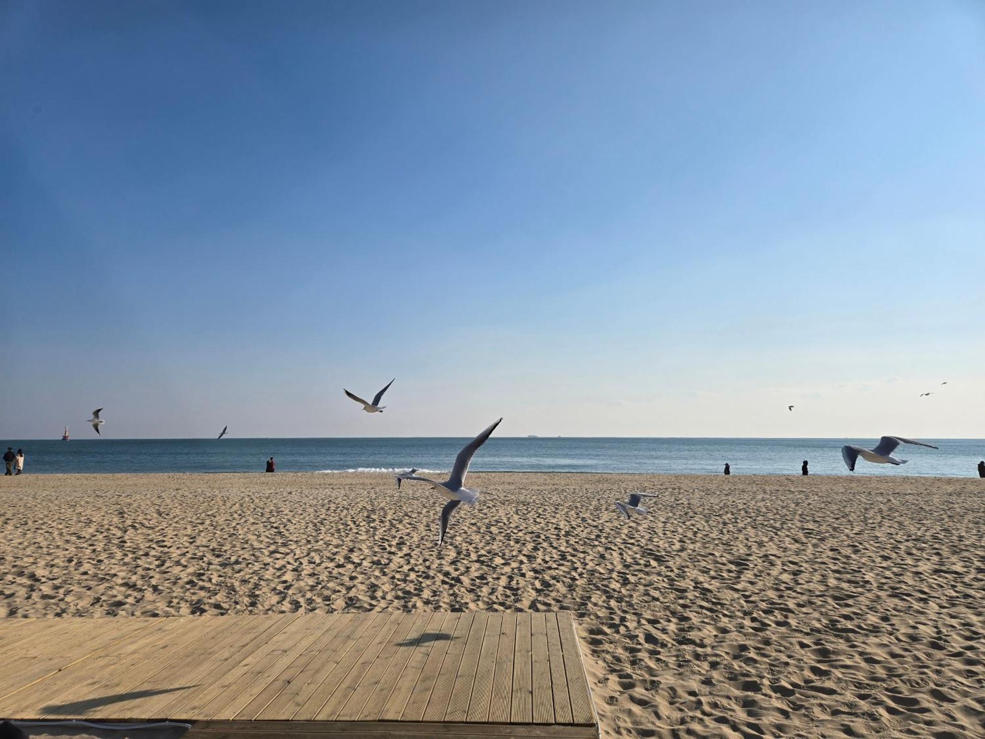 Hera Haeundae Beach Premium Ocean View # Sea View Busan Buitenkant foto
